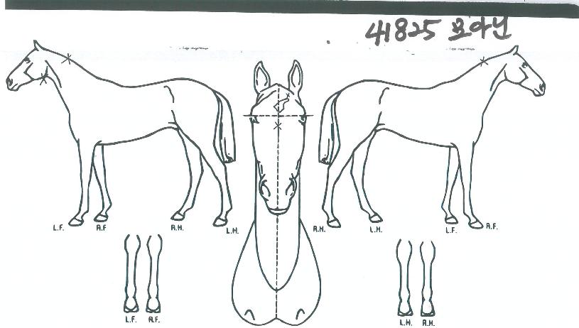 ��ƴ��� ����,���,�޸�,�λ�,�ٸ��� Ư¡����