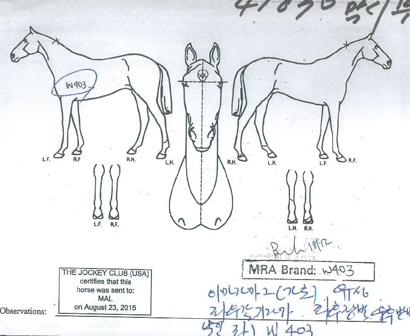 ���ù����� ����,���,�޸�,�λ�,�ٸ��� Ư¡����