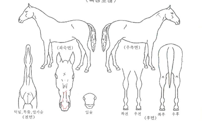 ��Ʈ������ ����,���,�޸�,�λ�,�ٸ��� Ư¡����