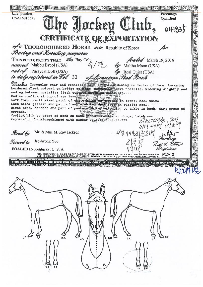 �����κ��� ����,���,�޸�,�λ�,�ٸ��� Ư¡����