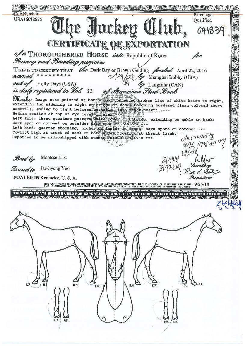 �������� ����,���,�޸�,�λ�,�ٸ��� Ư¡����