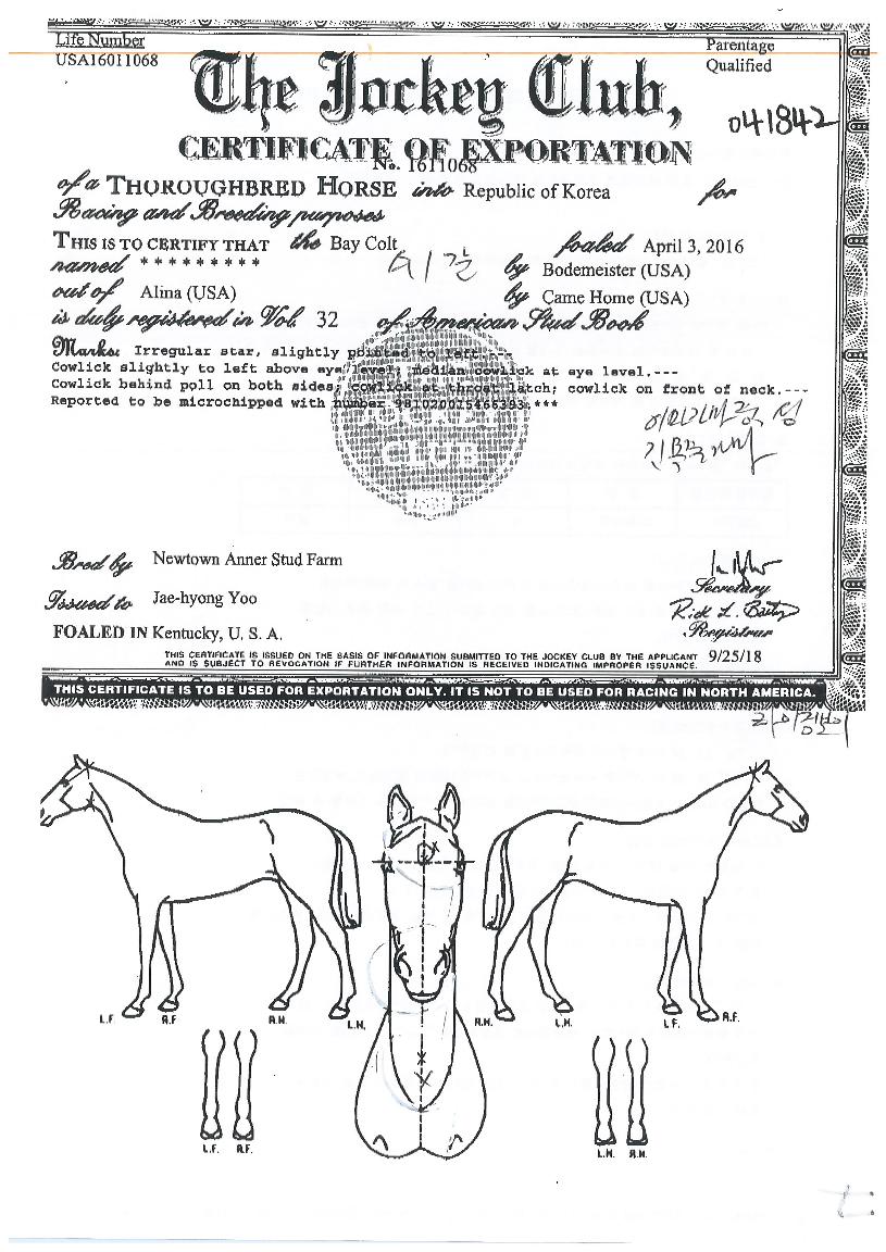 ¶óÀÌ¡º¸ÀÌÀÇ Ãø¸é,¿ì¸é,µÞ¸é,µÎ»ó,´Ù¸®ÀÇ Æ¯Â¡µµÇØ