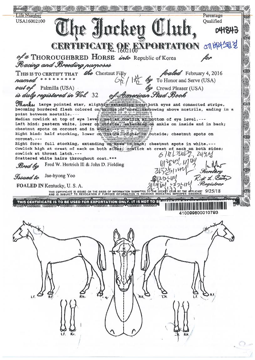 ¿¡¹ö¶ó½ºÆÃ°ÉÀÇ Ãø¸é,¿ì¸é,µÞ¸é,µÎ»ó,´Ù¸®ÀÇ Æ¯Â¡µµÇØ