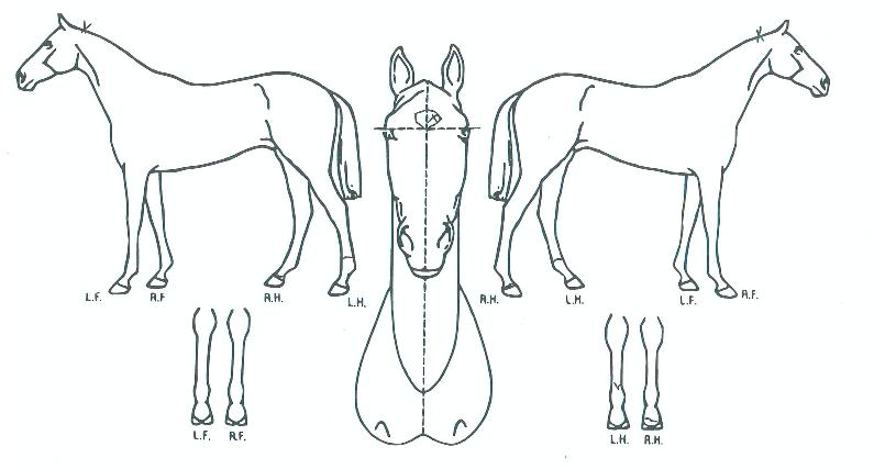 ���̽ý��ʹϳ��� ����,���,�޸�,�λ�,�ٸ��� Ư¡����