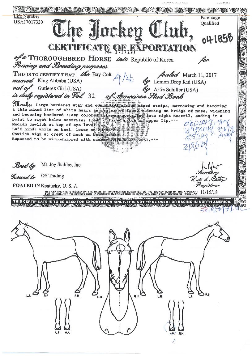 ŷ�˸��ٹ��� ����,���,�޸�,�λ�,�ٸ��� Ư¡����