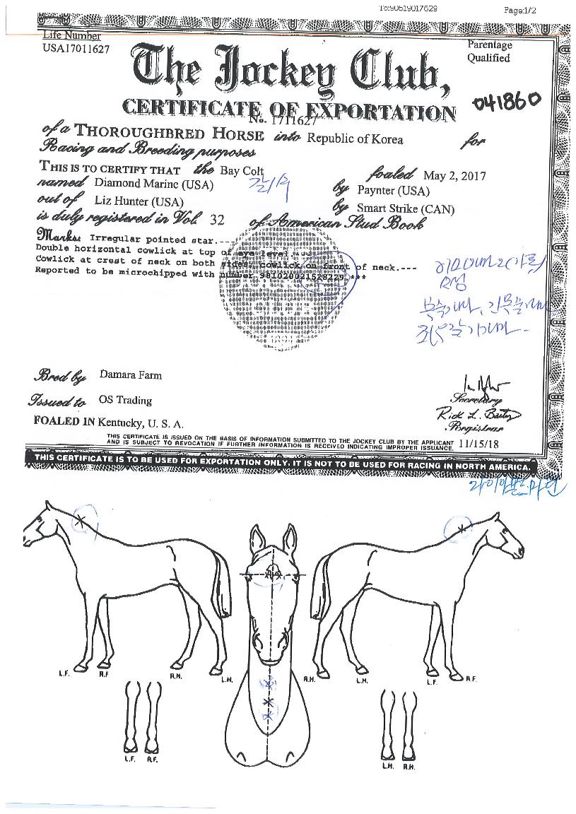 ´ÙÀ̾Ƹóµå¸¶¸°ÀÇ Ãø¸é,¿ì¸é,µÞ¸é,µÎ»ó,´Ù¸®ÀÇ Æ¯Â¡µµÇØ