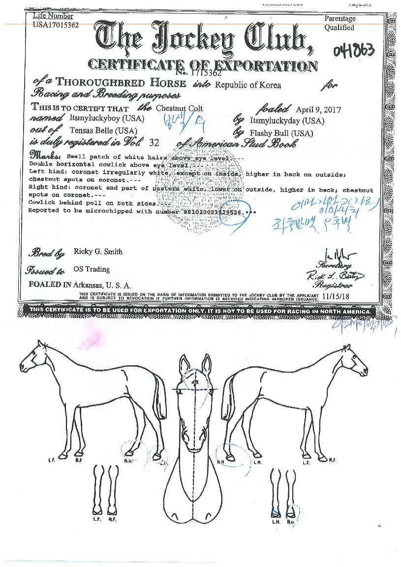 ÀÌÃ÷¸¶ÀÌ·°Å°º¸ÀÌÀÇ Ãø¸é,¿ì¸é,µÞ¸é,µÎ»ó,´Ù¸®ÀÇ Æ¯Â¡µµÇØ