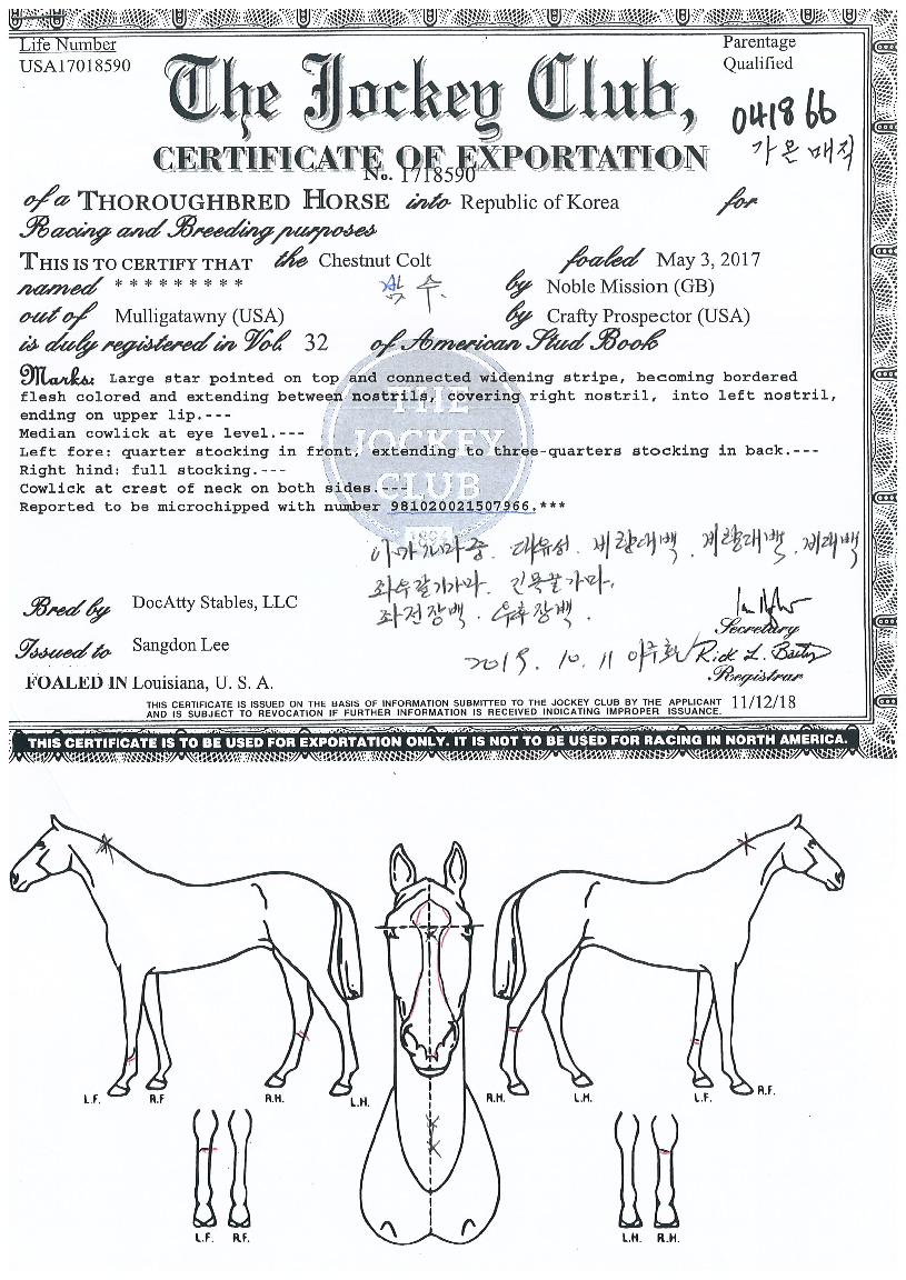 °¡¿Â¸ÅÁ÷ÀÇ Ãø¸é,¿ì¸é,µÞ¸é,µÎ»ó,´Ù¸®ÀÇ Æ¯Â¡µµÇØ