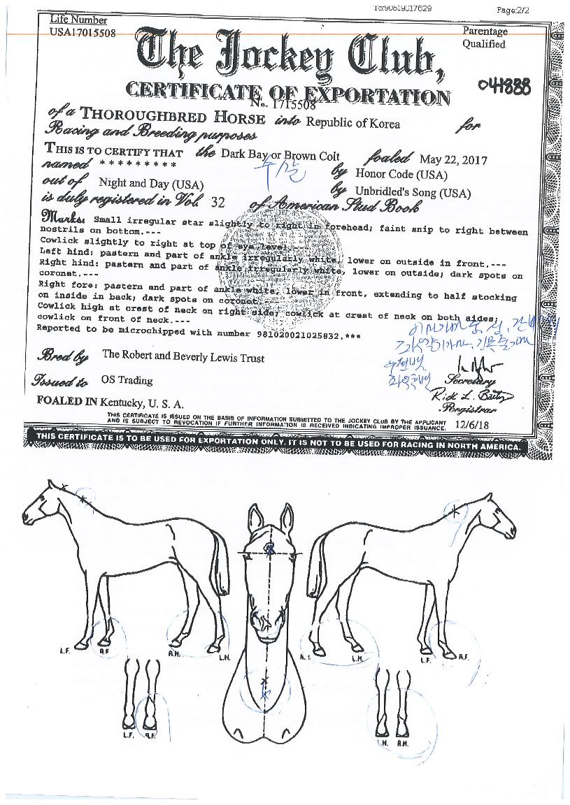 ���̳��������� ����,���,�޸�,�λ�,�ٸ��� Ư¡����