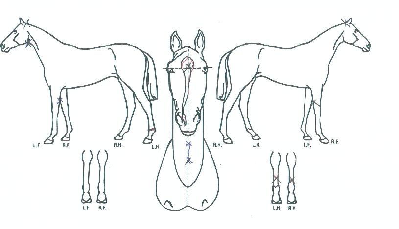 ����ó���� ����,���,�޸�,�λ�,�ٸ��� Ư¡����