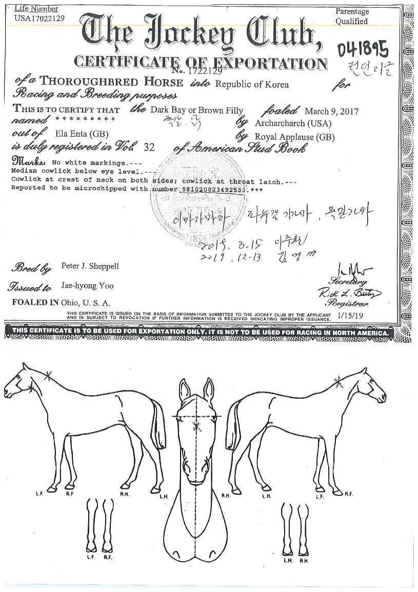 ·±´øÀ̱ÛÀÇ Ãø¸é,¿ì¸é,µÞ¸é,µÎ»ó,´Ù¸®ÀÇ Æ¯Â¡µµÇØ