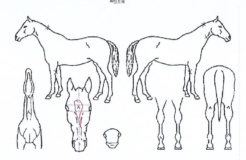 õ±ºÀÇ Ãø¸é,¿ì¸é,µÞ¸é,µÎ»ó,´Ù¸®ÀÇ Æ¯Â¡µµÇØ