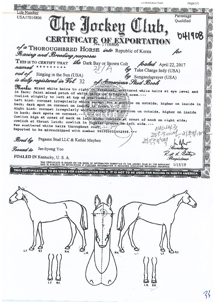 ���ۻ�Ÿ�� ����,���,�޸�,�λ�,�ٸ��� Ư¡����