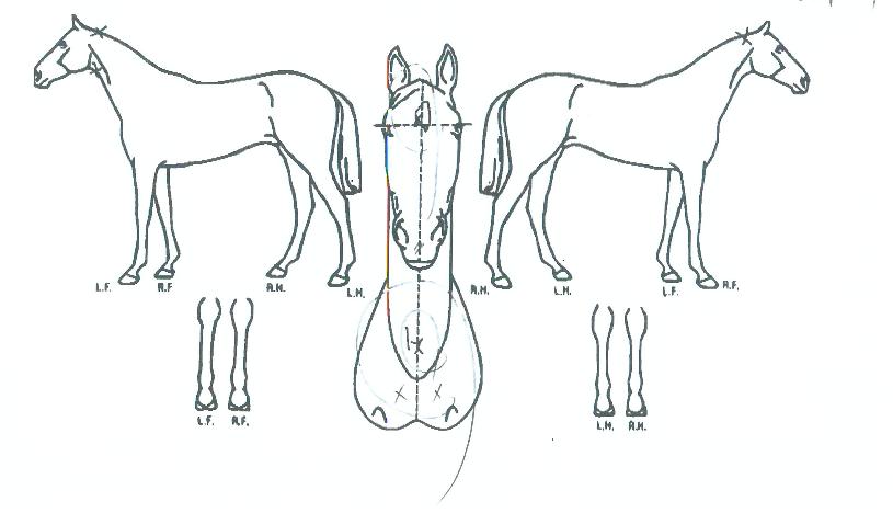 ��������ġ�� ����,���,�޸�,�λ�,�ٸ��� Ư¡����