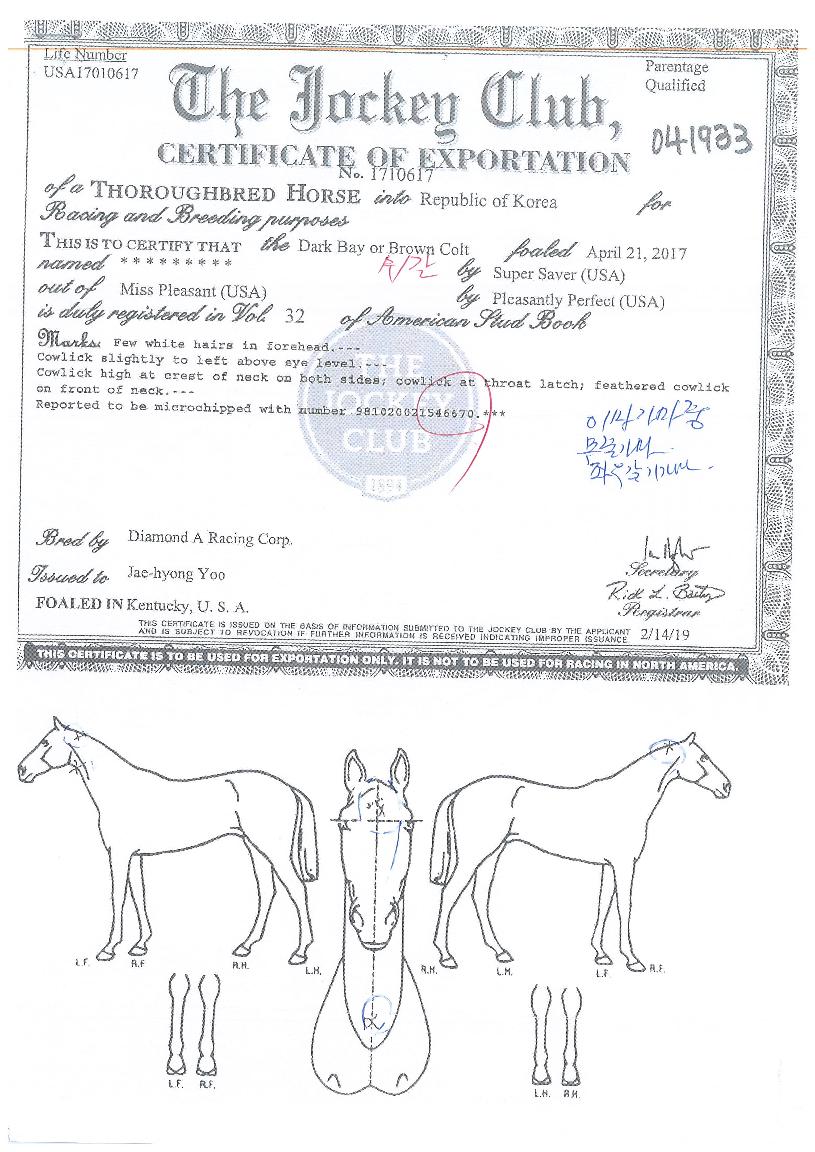 �����Ǽ��̺��� ����,���,�޸�,�λ�,�ٸ��� Ư¡����