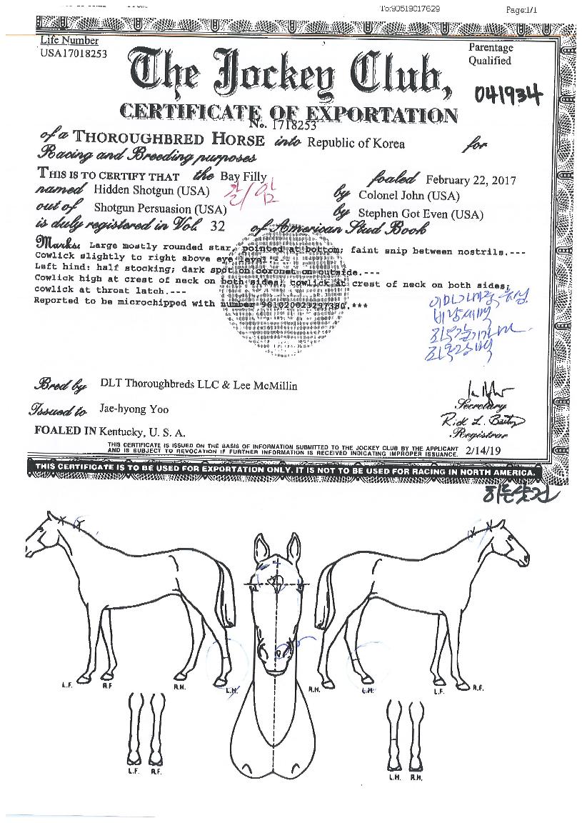 ���缦���� ����,���,�޸�,�λ�,�ٸ��� Ư¡����