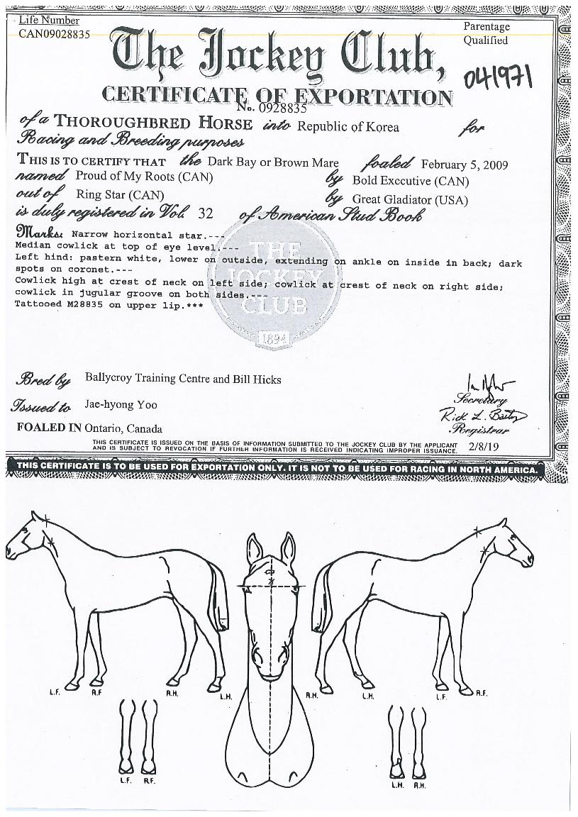 ÇÁ¶ó¿ìµå¿Àºê¸¶ÀÌÀÇ Ãø¸é,¿ì¸é,µÞ¸é,µÎ»ó,´Ù¸®ÀÇ Æ¯Â¡µµÇØ