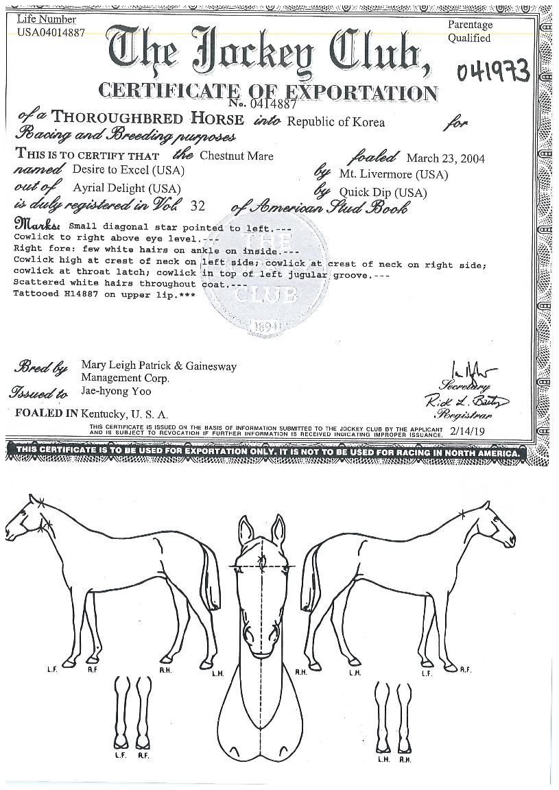 µðÀÚÀ̾îÅõ¿¢¼¿ÀÇ Ãø¸é,¿ì¸é,µÞ¸é,µÎ»ó,´Ù¸®ÀÇ Æ¯Â¡µµÇØ