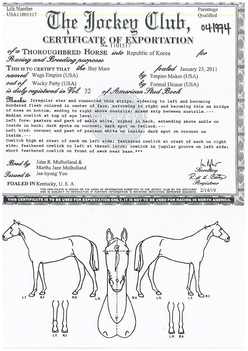 �׽������̾��� ����,���,�޸�,�λ�,�ٸ��� Ư¡����