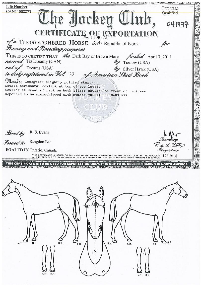 ƼÁîµå¸®¹ÌÀÇ Ãø¸é,¿ì¸é,µÞ¸é,µÎ»ó,´Ù¸®ÀÇ Æ¯Â¡µµÇØ