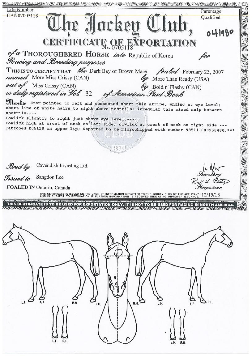 ���̽�ũ������ ����,���,�޸�,�λ�,�ٸ��� Ư¡����