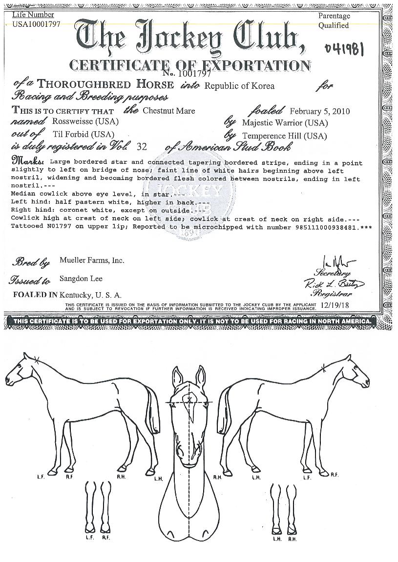 �ν����̼��� ����,���,�޸�,�λ�,�ٸ��� Ư¡����