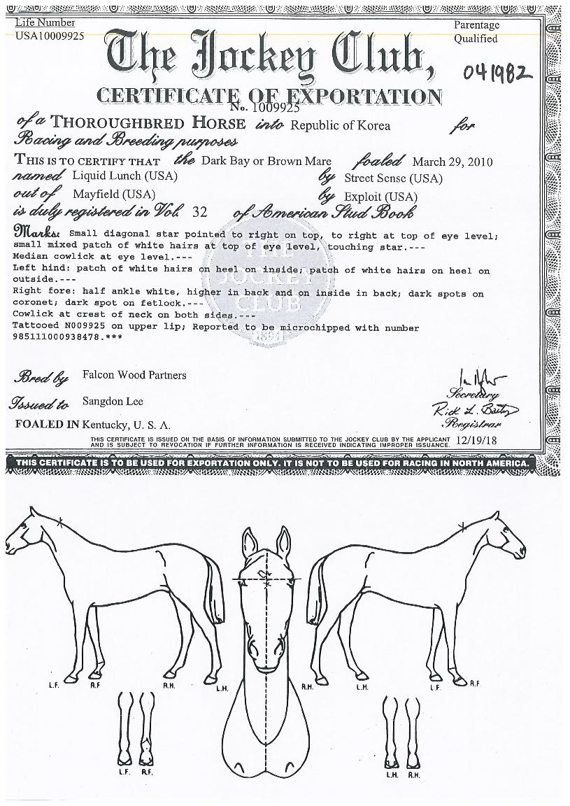 ¸®Äûµå·±Ä¡ÀÇ Ãø¸é,¿ì¸é,µÞ¸é,µÎ»ó,´Ù¸®ÀÇ Æ¯Â¡µµÇØ