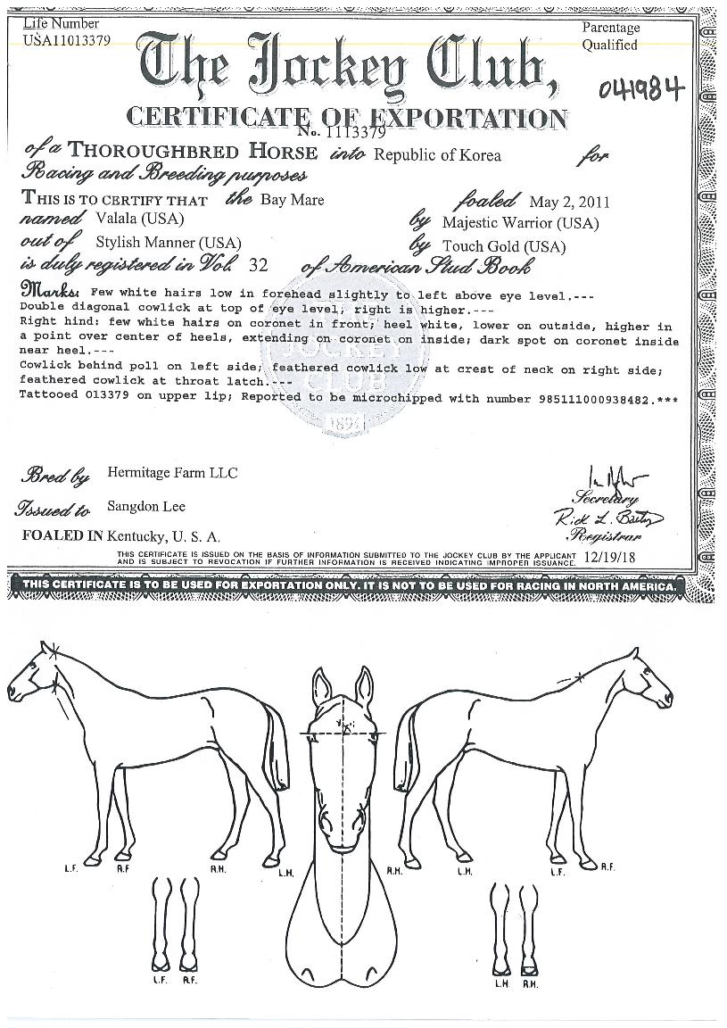 ¹ß¶ö¶óÀÇ Ãø¸é,¿ì¸é,µÞ¸é,µÎ»ó,´Ù¸®ÀÇ Æ¯Â¡µµÇØ