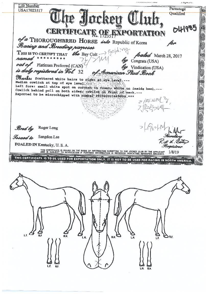 ȯ���ǹݼ��� ����,���,�޸�,�λ�,�ٸ��� Ư¡����