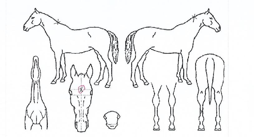 ���ܿ��� ����,���,�޸�,�λ�,�ٸ��� Ư¡����