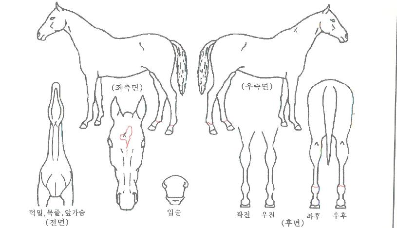 �̼����ļ����� ����,���,�޸�,�λ�,�ٸ��� Ư¡����