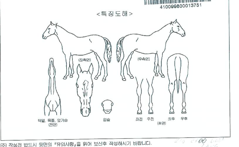 ������ڸ��� ����,���,�޸�,�λ�,�ٸ��� Ư¡����