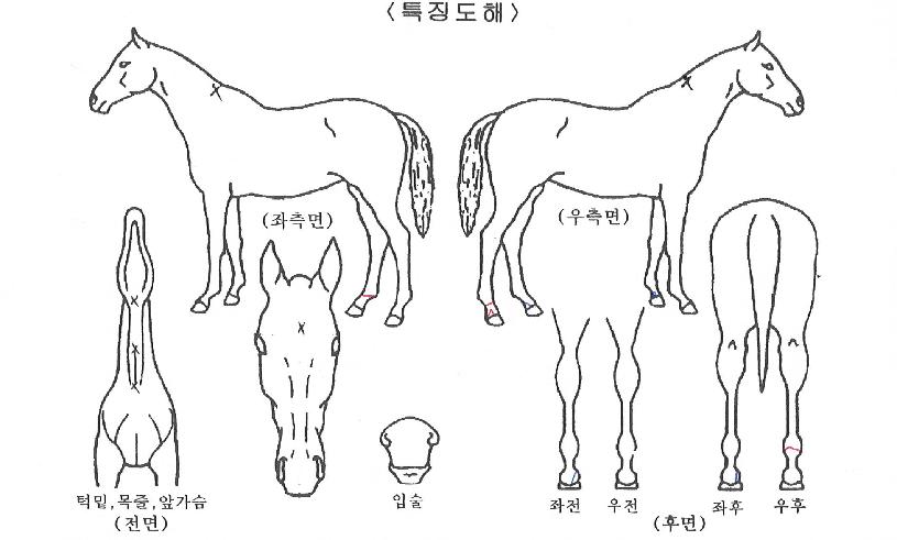 �������� ����,���,�޸�,�λ�,�ٸ��� Ư¡����