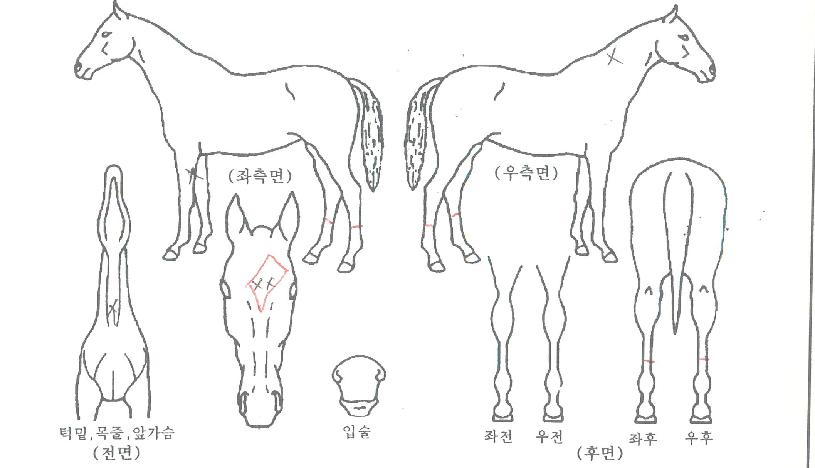 ŷ�׷��̽��� ����,���,�޸�,�λ�,�ٸ��� Ư¡����