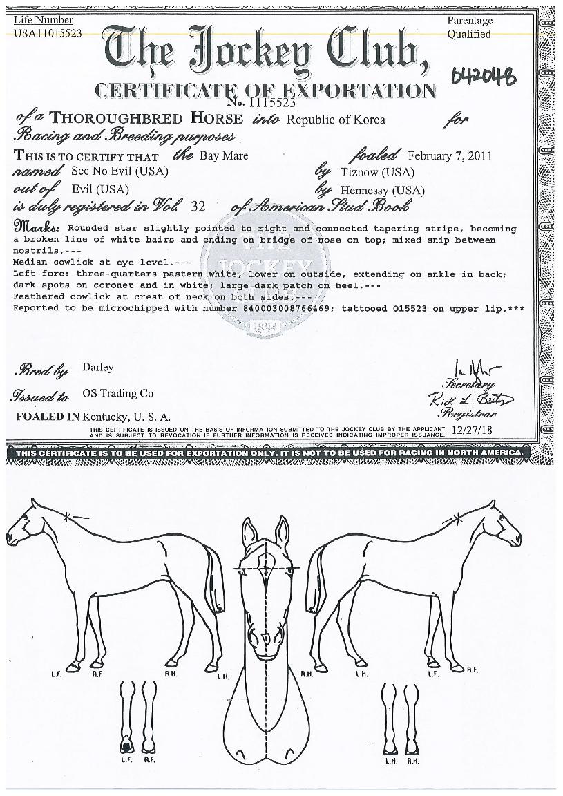 �ó��̺��� ����,���,�޸�,�λ�,�ٸ��� Ư¡����