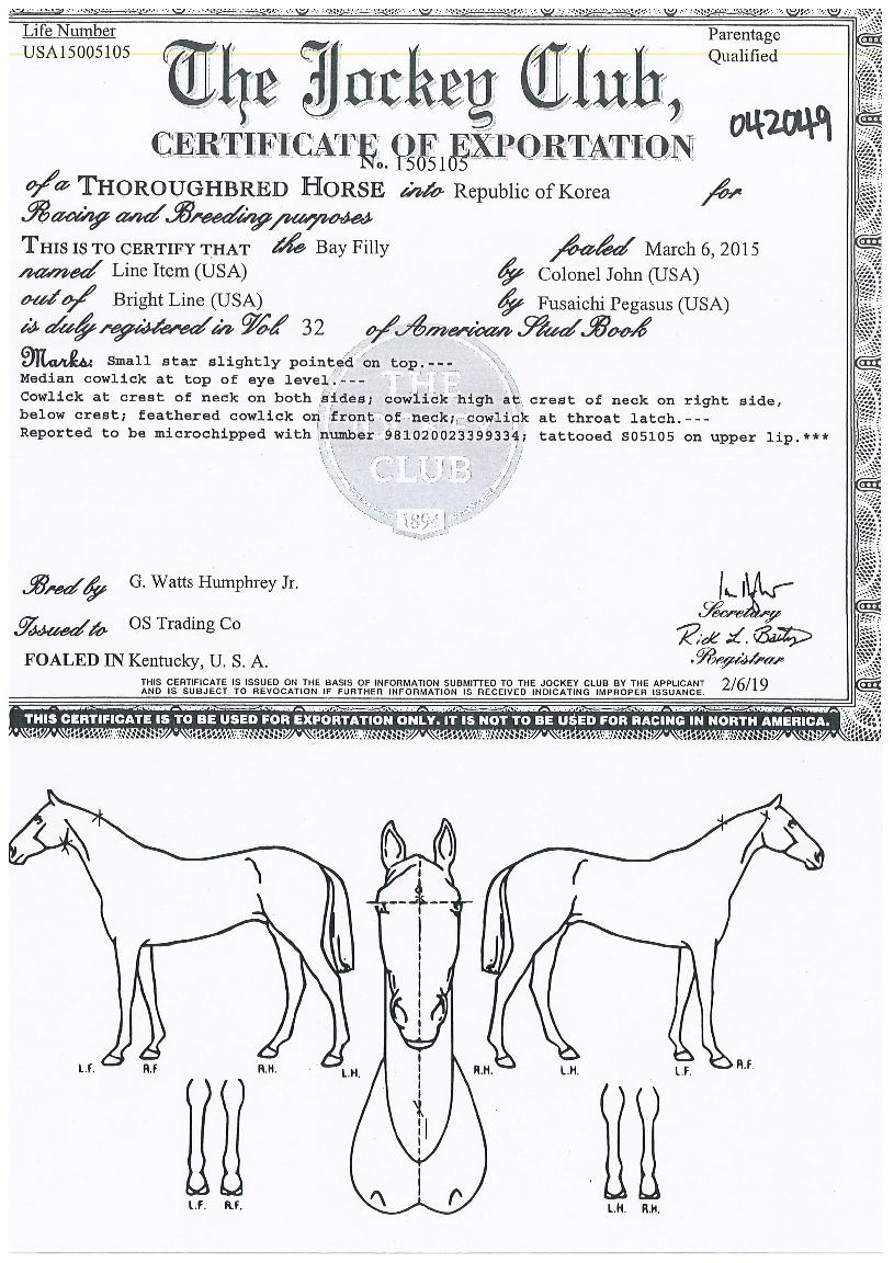 ¶óÀξÆÀÌÅÛÀÇ Ãø¸é,¿ì¸é,µÞ¸é,µÎ»ó,´Ù¸®ÀÇ Æ¯Â¡µµÇØ