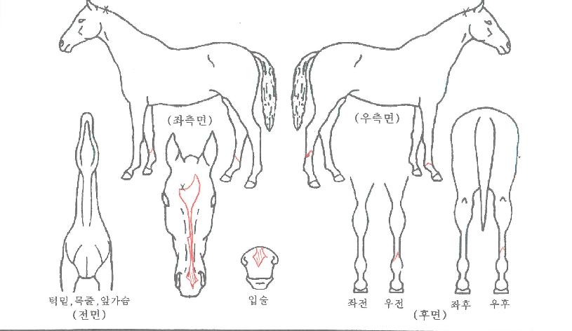 �����̽�ĭ�� ����,���,�޸�,�λ�,�ٸ��� Ư¡����