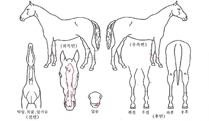 �������� ����,���,�޸�,�λ�,�ٸ��� Ư¡����