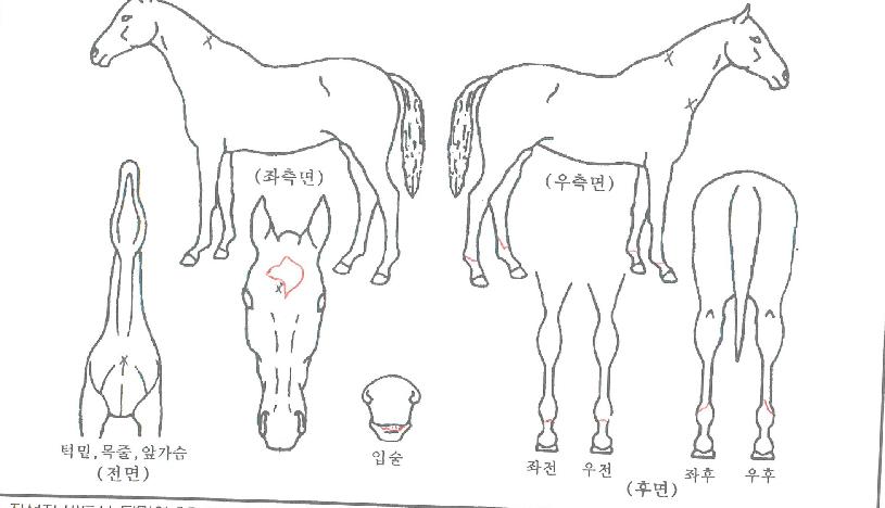 ����̺�Ÿ���� ����,���,�޸�,�λ�,�ٸ��� Ư¡����