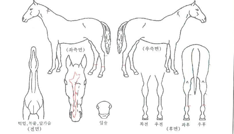 ���������� ����,���,�޸�,�λ�,�ٸ��� Ư¡����