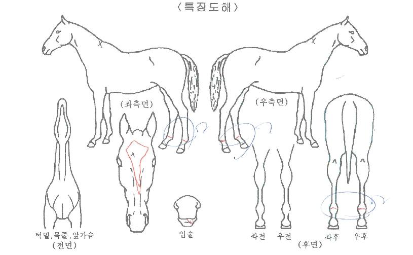 ť�ǵ������ ����,���,�޸�,�λ�,�ٸ��� Ư¡����