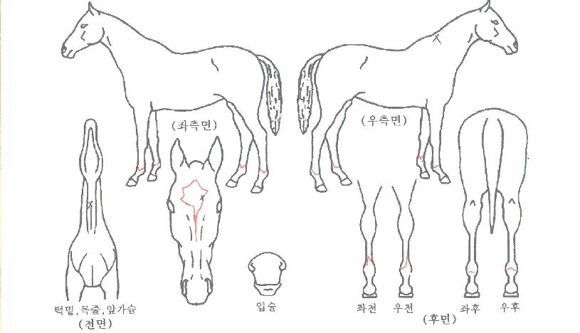 ��������� ����,���,�޸�,�λ�,�ٸ��� Ư¡����