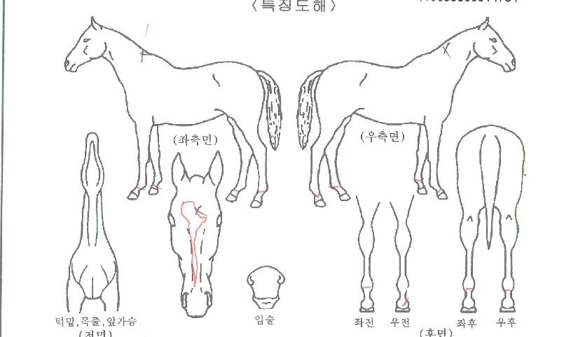 �����̽��ҽ��� ����,���,�޸�,�λ�,�ٸ��� Ư¡����