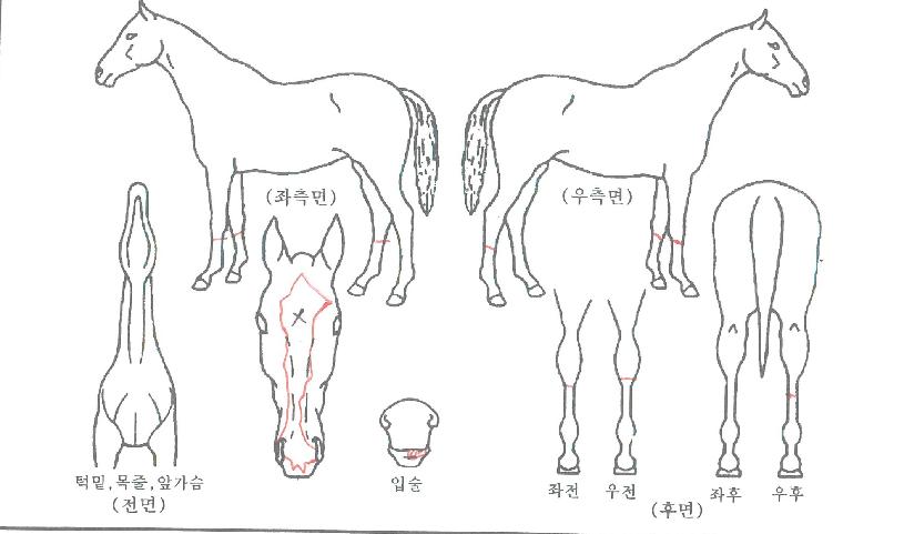 �������� ����,���,�޸�,�λ�,�ٸ��� Ư¡����