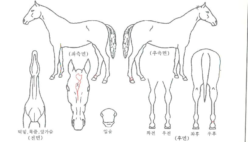 �������� ����,���,�޸�,�λ�,�ٸ��� Ư¡����