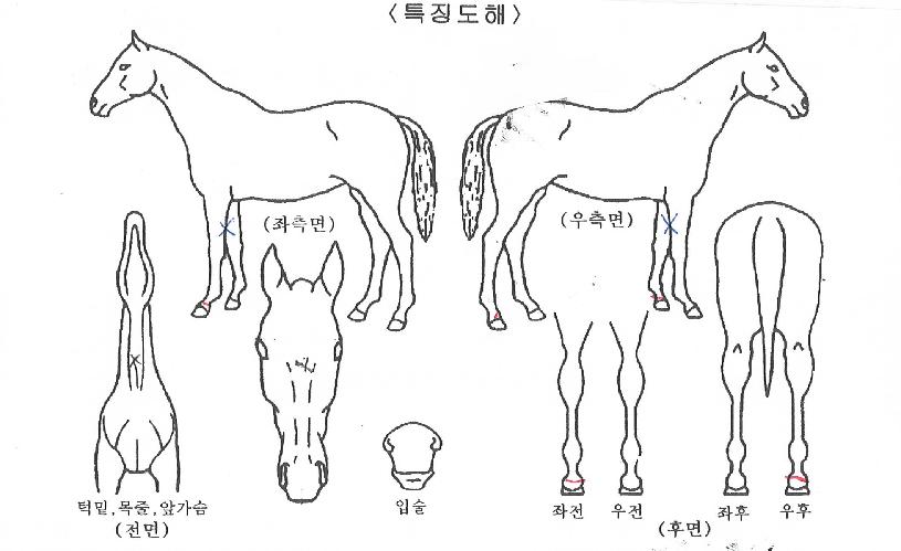 ������ũ���� ����,���,�޸�,�λ�,�ٸ��� Ư¡����