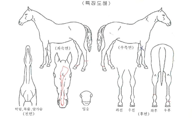 ���ۿ���� ����,���,�޸�,�λ�,�ٸ��� Ư¡����