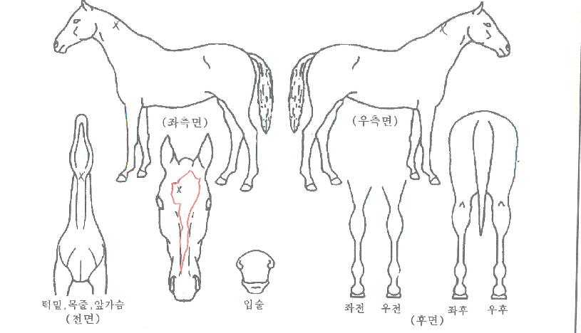 ���ص���� ����,���,�޸�,�λ�,�ٸ��� Ư¡����