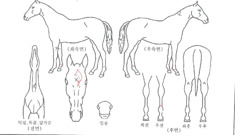 ������Ÿ���� ����,���,�޸�,�λ�,�ٸ��� Ư¡����