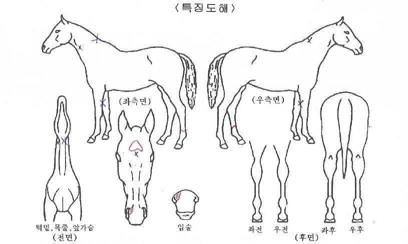 �ε�������� ����,���,�޸�,�λ�,�ٸ��� Ư¡����